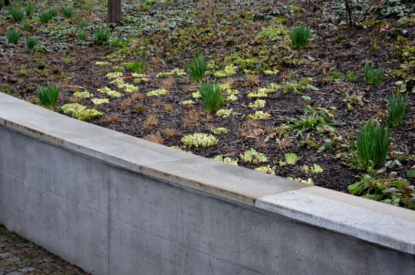 Concrete Wall Construction in Greenwood