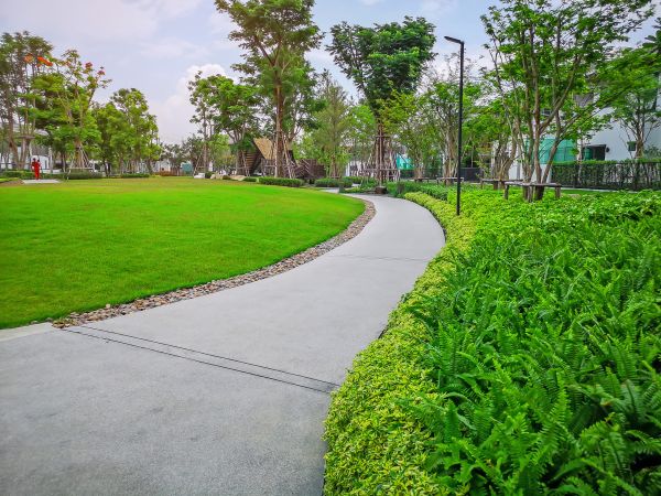 Cement Walkway Service in Greenwood