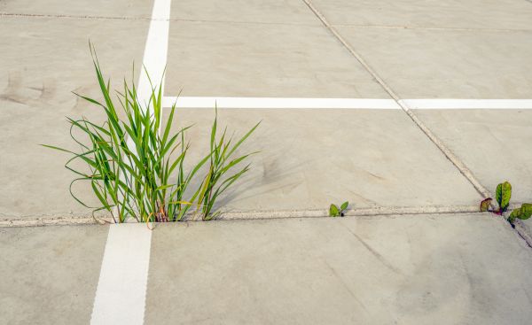 Concrete Parking Installation in Greenwood